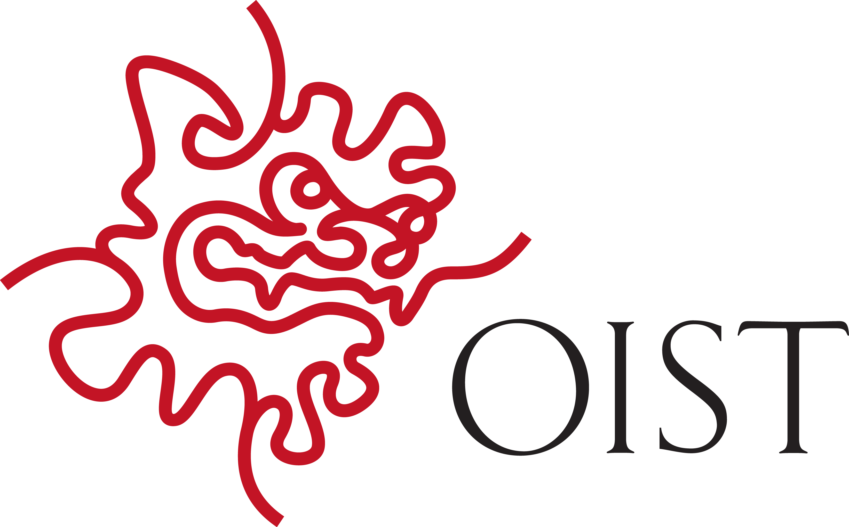 OIST Foundation